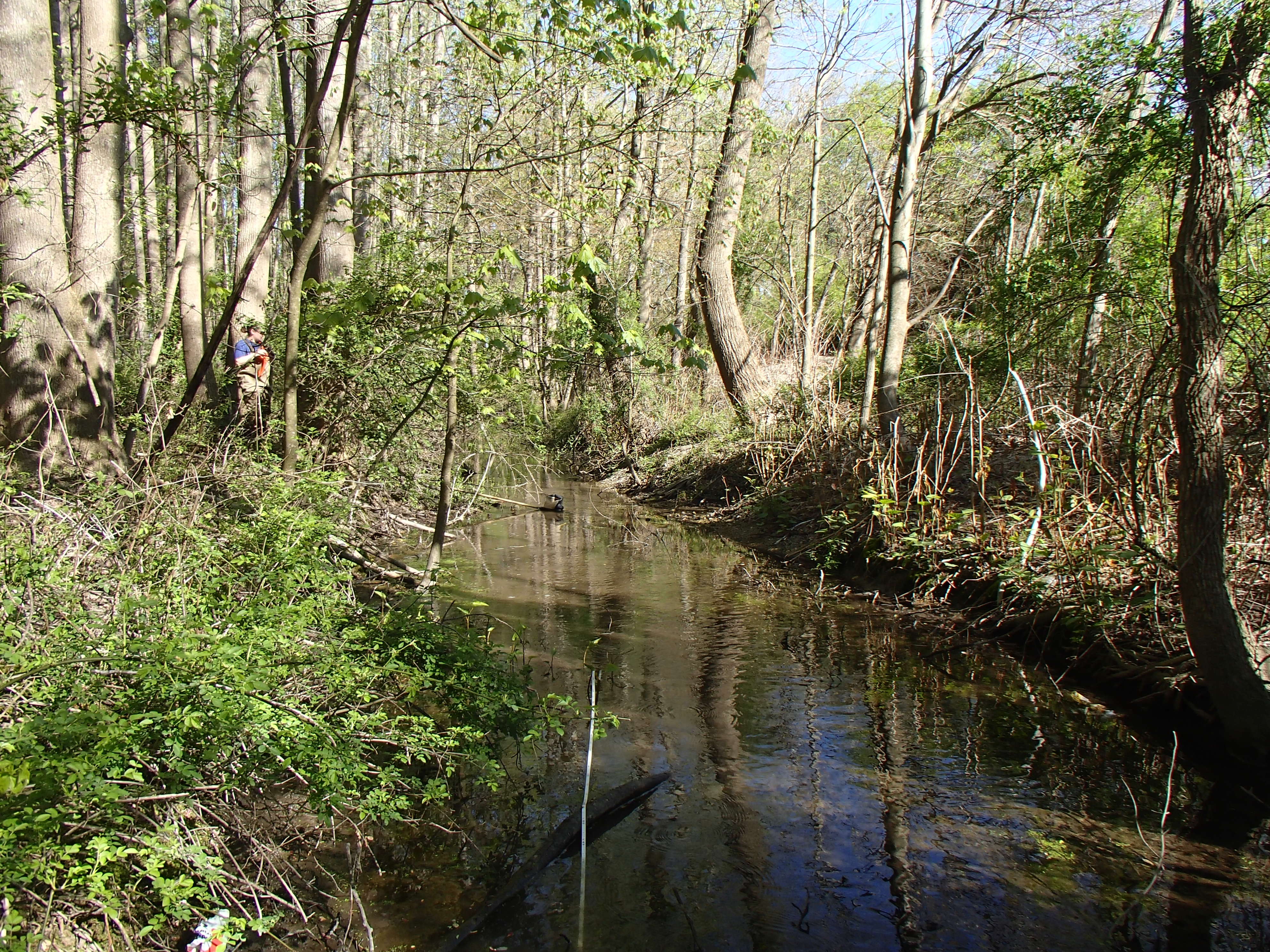 Field photo showing stream conditions at site NANT-111-R-2016_midpoint looking downstream